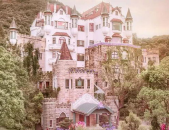 城堡小姐姐视频,视频中的魅力与故事